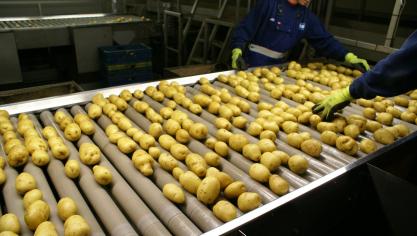 De volledige aardappelketen kent hoge productiekosten.