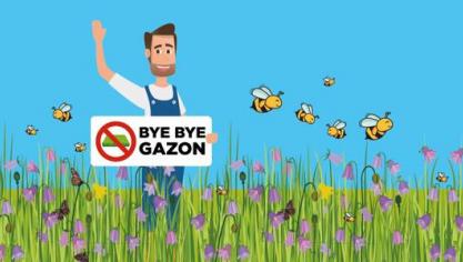 bye bye gazon