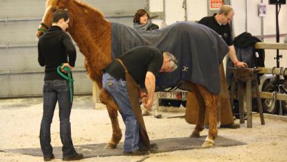 Overleg met de hoefsmid over het al dan niet beslaan van het paard is nuttig. In veel gevallen zijn hoefijzers niet nodig, volgens Roy den Bieman.