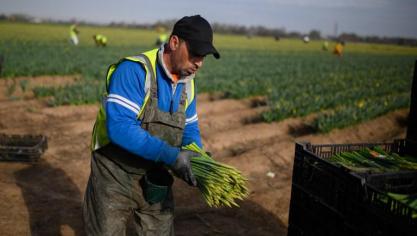 Voor heel wat werkkrachten wordt hun terugkeer naar het Verenigd Koninkrijk bemoeilijkt door de striktere visumvoorwaarden die sinds de brexit gelden. De oorlog in Oekraïne zal het probleem wellicht nog verergeren.