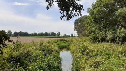 Ook landbouw kan helpen om een waterbom, zoals die vorige zomer in Wallonië viel, op te vangen.