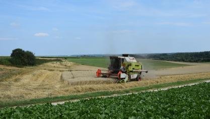Met een areaal van 50 ha lijkt het ons dat de landbouwactiviteit altijd als een op zich staand landbouwbedrijf zal worden beschouwd,  zodat de pachtrechten onverkort zullen blijven bestaan.