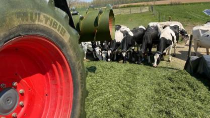 De kwaliteit van gras en dus van de graskuil varieert doorgaans doorheen het groeiseizoen. De praktijkproef bevestigde dit.