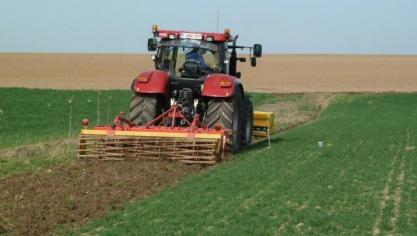 Vlaanderen laat in de campagne 2022 productie toe op braakliggend land.