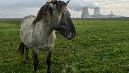 Om de leefbaarheid van de landbouw nabij Doel te verhogen, komen er extra  maatregelen.