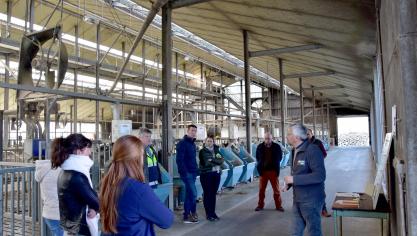 Rundveehouders kregen tijdens 2 workshops antwoord op enkele prangende vragen omtrent pneumonie bij kalveren.