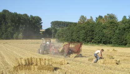 Het ILVO is geïnteresseerd in de ervaring van landbouwers over het samenwerken met burgers.