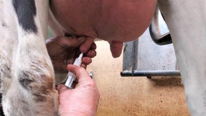 Tussen 2011 en 2020 daalde de verkoop van antibiotica met 43,2 % in 25 Europese landen.