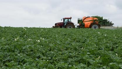 Tegen  Phytophthora infestans  en alternaria heeft BASF nu nieuwe producten  in haar gamma.