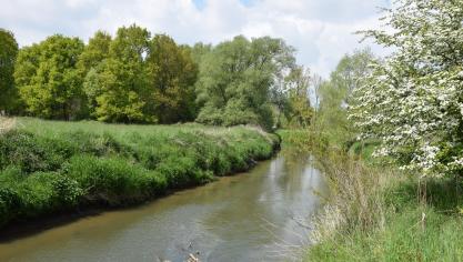 Oost-Vlaanderen verbiedt oppompen van water in onbevaarbare waterlopen.