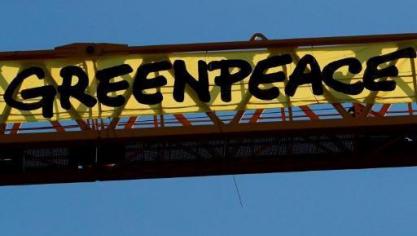 België is volgens Greenpeace een belangrijke afnemer van palmolie en soja.