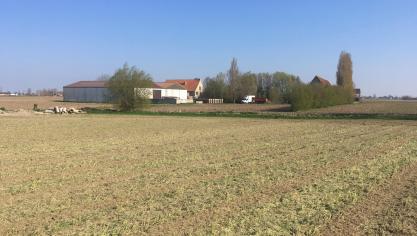 Een bioboerderij kan maximum 2.500 euro voortzettingspremie krijgen.