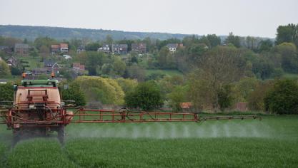 De SALV vraagt om in te zetten op een veelsporige aanpak om de plantengezondheid te waarborgen.