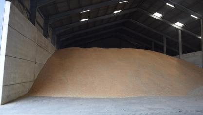 Rusland moet de veilige export toestaan van graan dat in de Oekraïense havens ligt opgeslagen.