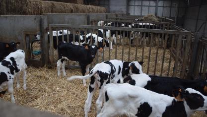 Boeren worden alleen opgeroepen om mee te doen als het in de bedrijfsvoering past.