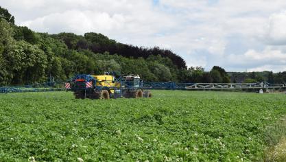 De effectiviteit en stabiliteit van de werking en innovatie bij de groene middelen zijn nog op een te laag niveau om synthetisch te vervangen (?).