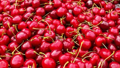 Van de fruittelers in Zuid-Limburg worden er jaarlijks duizenden kilo