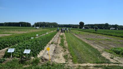 Op de proefhoeve van Certis Belchim werden mensen rondgeleid. Het terrein van de proefhoeve telt 13 ha, en proeven in meer dan 40 teelten.