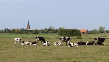 Het Departement Landbouw en Visserij betaalt op 30 juni 2022 een aantal betalingen aan Vlaamse landbouwers uit.