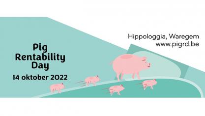pig-rentability-web