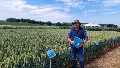 In wintergranen heeft Bayer uitgebreide proefveldwerking liggen gericht op onkruid- en ziektebeheersing.