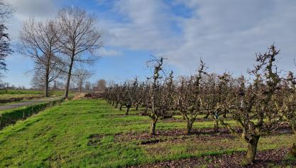 Recent onderzoek wees uit dat PFOS in bijna alle stalen van bodem maar niet in water of groenten voorkomen.