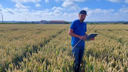Frederik De Witte toonde ons in wintertarwe Verben, het nieuwe graanfungicide van Corteva.