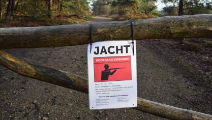 Twee jagers zijn aangesteld om in het gebied Hagevin (Pelt-Lommel) de everzwijnpopulatie onder controle te houden.