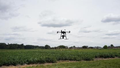Gedurende een heel groeiseizoen werden de aardappelen door dronecamera’s in de gaten gehouden, en hebben de machines ‘geleerd’ om opkomende ziektes en plagen en onkruid te herkennen, met het doel om vroeg en lokaal gewasbescherming toe te passen waar nodig.