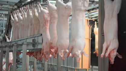 De frequentie van de onaangekondigde controles wordt gekoppeld aan de vaststelling van non-conformiteiten in het slachthuis en de grootte ervan.
