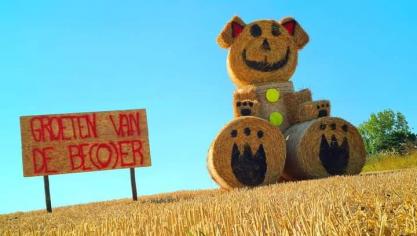 Jongeren van Groene Kring zullen vanaf 22 augustus het Vlaamse platteland versieren met meer dan 45 stropoppen.