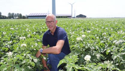Mark Geling: “De veredeling kan ons ‘probleem’ oplossen, maar probeer dan niet de Green Deal door te drukken. Geef ons de tijd om resistente rassen te veredelen.”