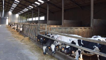 Dieraantal, -leeftijd en risico bepaalt mee de bijdrage aan het sanitair fonds.