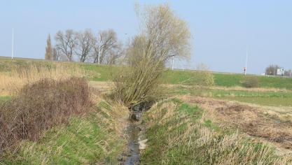 Een hogere rioleringsgraad moet zorgen voor een betere waterkwaliteit.