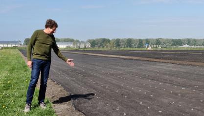 Op de Bayer-site in Enkhuizen toont Crop Design Lead brassica en paprika Meindert Boon  de proeven op het veld.