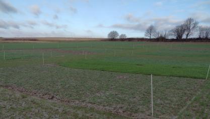 De vanggewassenproef in Bekkevoort op 15 februari 2022.