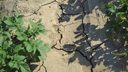 De Klimaatcoalitie vraagt aandacht voor de druk op het mondiaal voedselsysteem, dat lijdt onder de periodes van droogtes en de overstromingen.
