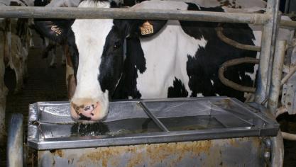 Een wateraudit brengt de waterstromen en -behoeften op een landbouwbedrijf in kaart  en gaat na welke besparingsmogelijkheden er zijn.