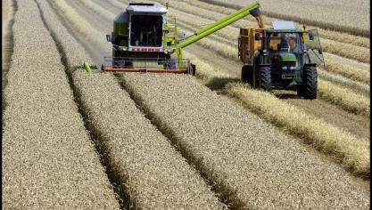 De oppervlakte zomergranen en korrelmaïs was in 2022 met +38,8% gestegen, als gevolg van de stijging van de graanprijzen door de oorlog in Oekraïne.