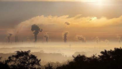 In een gerechterlijke uitspraak werd geoordeeld dat er geen verschil kan gemaakt worden tussen stikstof uit industrie en stikstof afkomstig uit landbouw. PAS kan dus terug naar de tekentafel, stelt Boerenbond.