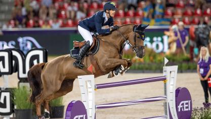 King Edward werd tijdens Jumping  Mechelen gehuldigd als Landbouwleven Paard van het Jaar.