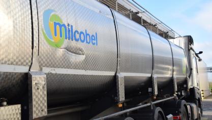 De dalende trend van de zuivelmarkten zet zich noodzakelijkerwijs door in de Milcobel-melkprijzen voor januari.