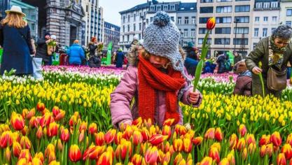 Op het Koningin Astridplein in Antwerpen werd zaterdag 21 januari het nieuwe bloeiseizoen feestelijk ingezet.