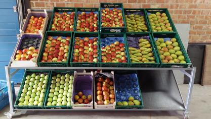 Het voorstel om geen BTW te heffen op groenten en fruit helpt de boer niet vooruit stelt Boerenforum en Climaxi.