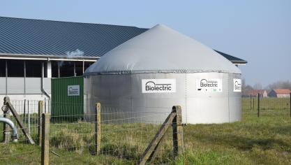 De operationele groep ChicoryRePowered gaat na aan welke randvoorwaarden witloofbedrijven moeten voldoen om pocketvergisting rendabel te maken.