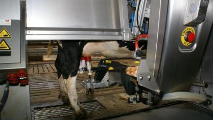 Het selectief behandelen van milde of matige klinische mastitis zorgt voor een lager gebruik van antibiotica zonder risico’s voor de gezondheid van de koe of voor de melkproductie.