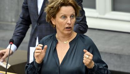 Mieke Schauvliege (Groen) vraagt zich af of een versoepeling van de regelgeving ervoor gaat zorgen dat de stikstofneerslag op de beschermde natuurgebieden zal verminderen.