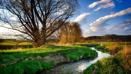De Europese Commissie daagt België voor het Hof van Justitie in Luxemburg wegens de slechte waterkwaliteit.
