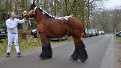 Mathias du Blanc Bois, geboren in 2020, werd voor de eerste maal goedgekeurd voor dekseizoen 2023.