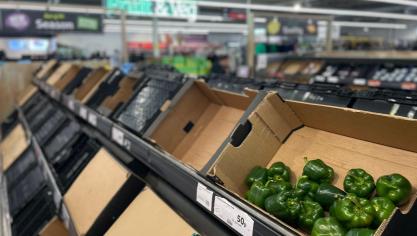 Bovenop de tekorten aan sommige groentensoorten dreigt er volgens Britse landbouwers ook een schaarste aan appels en peren te ontstaan in het Verenigd Koninkrijk.